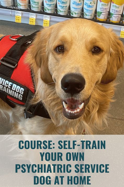 Service Dog Essentials, Service Dog Training Schedule, Service Dog Training Tips, Service Dog Training Checklist, Psychiatric Service Dog Training, Service Dog Aesthetic, Service Dog Training How To, Dog Training Obedience Puppies, Service Dog Training Log