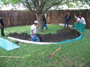 Root barriers go in Root Barrier, Houston Garden, Concrete Slab, Tree Roots, Yard Ideas, Outdoor Projects, Garden Center, Landscaping Ideas, Walkway