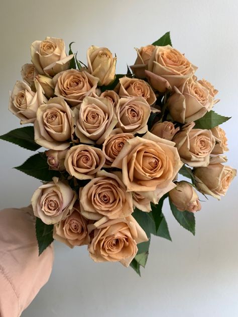 Gorgeous, nude-hued spray roses. Sahara Spray Rose, Brown Roses Aesthetic, Brown Roses Bouquet, Brown Flower Arrangements, Champagne Roses, Gold Roses, Brown Roses, Beige Roses, Spray Roses Bouquet