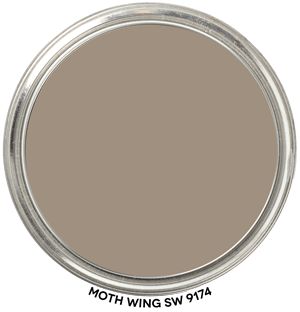 Moth Wing SW 9174 by Sherwin-Williams Get all the details about this color's hue family, value, chroma and LRV. Includes paint blob to swipe. Objective, accurate info from a Color Strategist! #MothWIng #9174 #SherwinWilliams #paint #color #ColorographyLab Requisite Gray, Owl Oc, Paint Blob, Coventry Gray, Sherwin Williams Alabaster, Stonington Gray, Sherwin Williams Gray, Mindful Gray, Ppg Paint