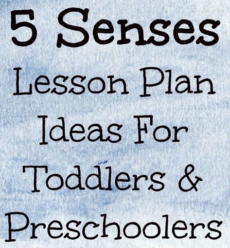 Lesson Plan Ideas For Toddlers, Lesson Plan For Toddlers, 5 Senses Preschool, Five Senses Preschool, 5 Senses Activities, Senses Preschool, The 5 Senses, My Five Senses, Toddler Lessons