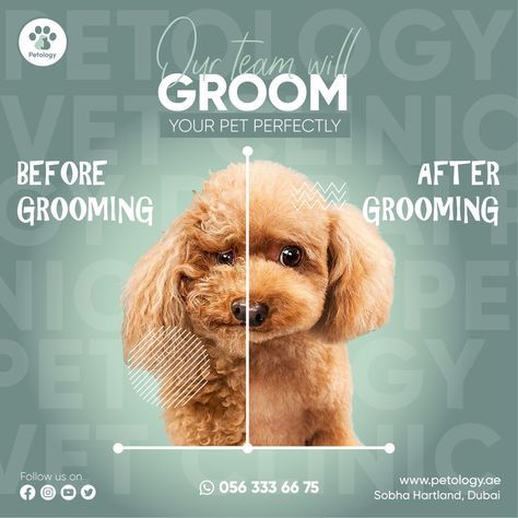 Pet Grooming Marketing Ideas, Before After Social Media Post, Dog Grooming Instagram, Pet Grooming Shop, Homemade Pet Treats, Dog Marketing, Pet Branding, Dog Grooming Tips, Grooming Tips