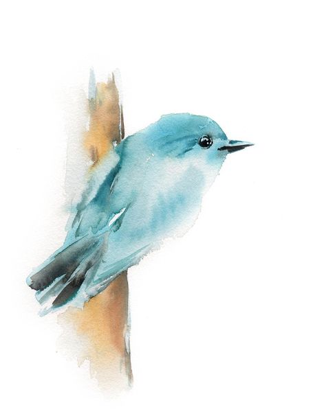 Bird Watercolor Paintings, Bird Watercolor, Bird Art Print, Bird Wall Art, Watercolor Inspiration, Bird Drawings, Paintings Art Prints, Watercolor Bird, Watercolor Animals