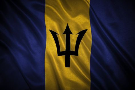 Barbados Flag, Floating Boat, Flag Painting, Flag Photo, Caribbean Beaches, Alan Walker, Fb Covers, Flags Of The World, Vintage Map