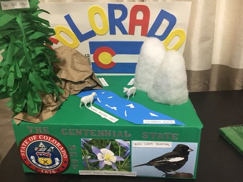 State float Colorado State Float School Project Colorado, Colorado State Float Project, Shoebox Float, State Project, Colorado History, Teaching Lessons, Summer Learning, State Fair, School Project