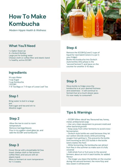 How to Make Kombucha (Easy Step-by-Step Recipe) — Modern Hippie Inc. How To Make A Scoby, How To Make Kombucha Step By Step, How To Make Kombucha, Kombucha Scoby Recipes, Hibiscus Kombucha, Make Kombucha, Kombucha Benefits, Kombucha Scoby, Homemade Kombucha