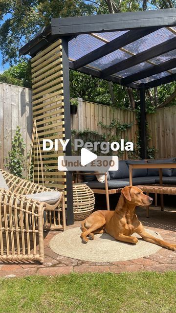 Garden Shade Ideas Diy, Small Yard Pergola Ideas, Decorate Pergola Ideas, Small Pergola Ideas Backyards, Paragola Ideas, Diy Shade Outdoor, Easy Diy Pergola Cheap, Budget Pergola, Pergola Roof Ideas