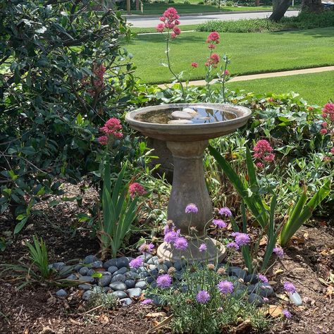 Bird Bath Rose Garden, Balcony Bird Bath, Birdbath Ideas, Backyard Birds Sanctuary, Front Garden Landscape, Bird Bath Garden, Recycled Garden, Backyard Entertaining, Wildflower Garden