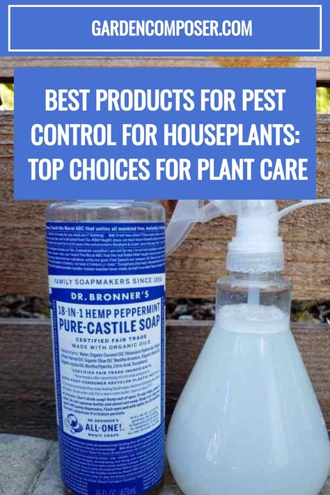 Pest Control for Houseplants Houseplant Pests, Fern Flower, Plant Pests, Backyard Plants, Natural Pest Control, Plant Problems, Landscaping Plants, Edible Garden, Cacti And Succulents