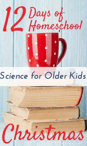 Science Experiments For Middle School, Christmas Language Arts Activities, Christmas Language Arts, Winter Science Activities, Christmas Science Experiments, Homeschool Holidays, Winter Science, Homeschool Middle School, Unit Studies Homeschool