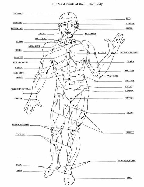 Point Vital Body Pressure Points, Goju Ryu Karate, Kyokushin Karate, Self Defense Moves, Self Defense Martial Arts, Self Defense Techniques, Martial Arts Techniques, Ju Jitsu, Hapkido