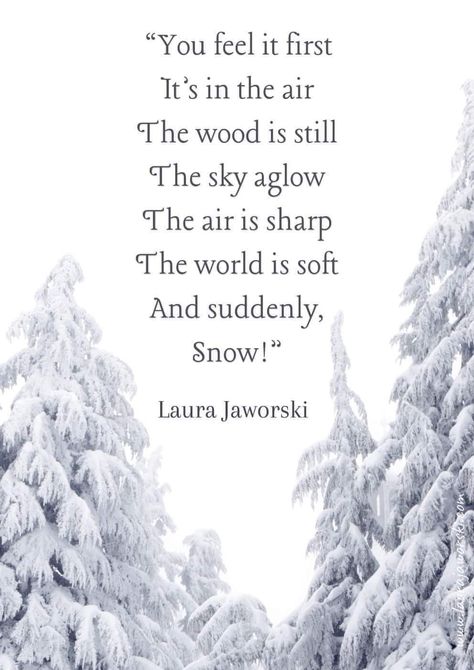 Outside Quotes, Laura Jaworski, Snowy Outside, Fall Quotes, Nature Words, Poems About Life, Winter Quotes, Love Winter, Cool Paper Crafts