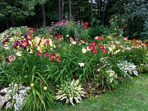 Lewis Daylily Garden: Daylily gardens from across the country. Daylily Garden Design Beds, Lilly Garden, Easy Garden Ideas Landscaping, Daylily Garden, Gardening Decor, Garden Decoration Ideas, Lily Garden, Border Ideas, Perennial Border