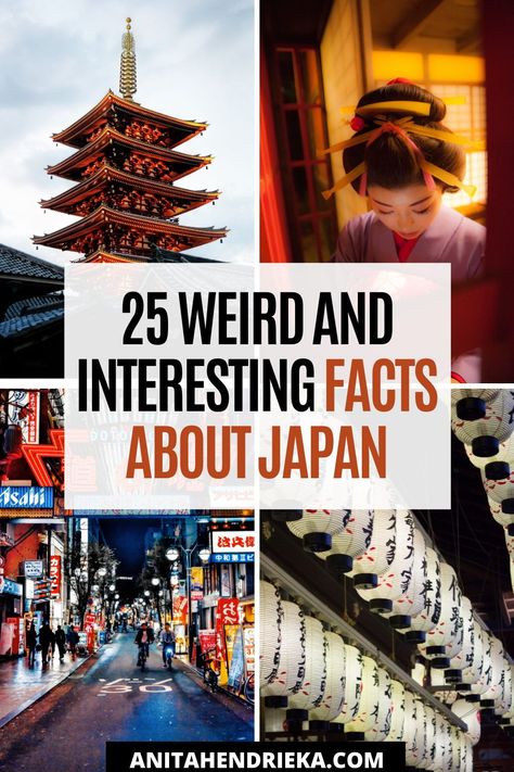 Things In Japan That Just Make Sense, Japanese Facts, Facts About Japan, Japanese Culture Aesthetic, Japan Facts, Japan Technology, Matsuri Festival, Beautiful Places In Japan, Travel Creative