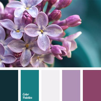 Color Palette #527 - Dark turquoise, dirty white, lilac, pale pink, pink-violet, shades of lilac, turquoise and violet, turquoise color, White Color Palettes. In Color Balance, Wedding Color Combinations, Color Palette Ideas, Wall Living Room, Cool Color Palette, Palette Ideas, Pastel Palette, Design Seeds, Color Balance