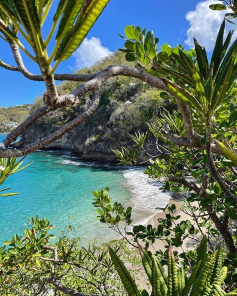 Imagine waking up to a view like this. 😍 A tropical paradise; Saint Lucia's stunning island views will take your breath away. 📸 @maricruzpolito #TravelSaintLucia #LetHerInspireYou #SaintLucia #caribbean #travel Travel America, Saint Lucia, Aesthetic Life, Caribbean Travel, Canadian Rockies, Island Home, Summer 24, St Lucia, Wanderlust Travel