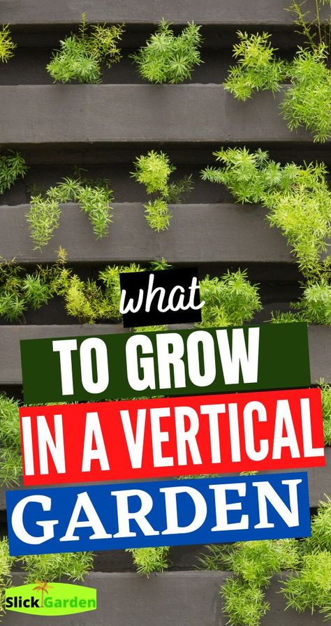 Vertical Hanging Garden, Living Walls Outdoor Vertical Planter, Best Plants For Vertical Garden, Vertical Garden Plants Outdoor, Indoor Vertical Farming, Verticle Gardening Ideas, Plants For Vertical Garden, Vertical Gardening Ideas, Grow Moss