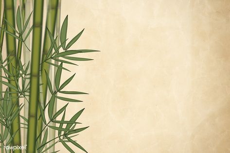 Bamboo leaf elements background illustration | free image by rawpixel.com / wodn2080 Bamboo Background, Orchids In Water, Concrete Background, Bamboo Stalks, Bamboo Leaf, Bamboo Plates, Tropical Leaves Pattern, Leaf Border, Bamboo Garden