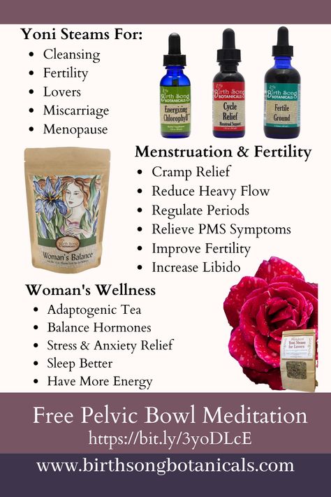 Herbs For Heavy Periods, Improve Fertility Woman, Period Supplements, Womb Wisdom, Fertility Support, Healthy Birth, Breastfeeding Art, Diet Schedule, Birth Art