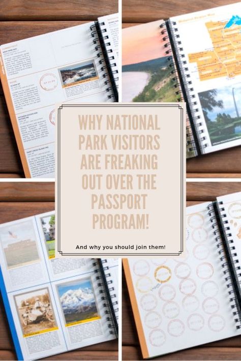 National Park Passport, Yellowstone Trip, Travel Memorabilia, American Road, Travel Keepsakes, Sea To Shining Sea, Minimalist Travel, National Parks Trip, Bucket Lists