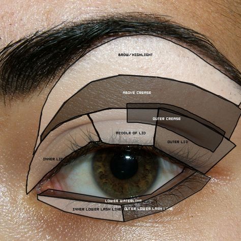 Tutorial & Reference - Eye Diagram, Parts of the Eye, Basic Eye Makeup Basic Eye Makeup, Make Up Guide, Teknik Makeup, Make Up Mata, Parts Of The Eye, Smink Inspiration, Blue Eye Makeup, Eye Make, All Things Beauty