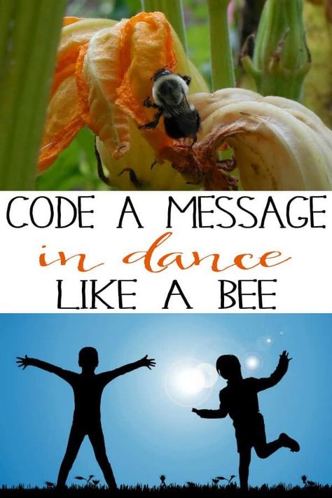 Unplugged Coding Activities, Bee Games, Insects Preschool, Bee Activities, Learn Coding, Outdoor Fun For Kids, Communication Methods, Insects Theme, Montessori Learning