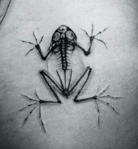 Frog xray Bug Skeleton Tattoo, Frog Xray, Whites Tree Frog Tattoo, Goth Frog Tattoo, Spooky Frog Tattoo, Frog Skeleton Tattoo, Animal Bone Tattoo, Xray Tattoo Ideas, Animal Skeleton Tattoo