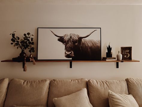 Farmhouse Behind The Couch Decor, Living Room With Cow Picture, Over The Couch Shelf Decor Ideas, Highland Cow Print Living Room, Highlander Cow Living Room, Behind Couch Wall Decor Western, Cow Canvas Decor Living Rooms, Highland Cow Living Room Ideas, Highland Cow Picture Living Room