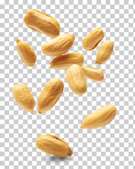 PSD falling peanut isolated on transpare... | Premium Psd #Freepik #psd #cashew-nuts #cashew #nuts #almond Stickers Printable Tumblr Vintage, Nuts Design, Classic Mens Haircut, Peanut Candy, Graphic Design School, Ice Cream Design, Creative Advertising Design, Makeup News, Food Graphic Design