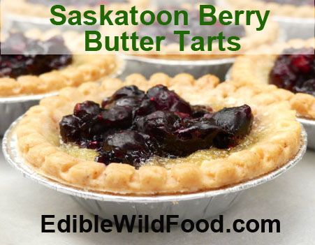 Saskatoon Berry Butter Tarts, Saskatoon Berry Tarts, Saskatoon Tarts, Butter Tarts Recipe, Berry Butter, Plant Recipes, Saskatoon Berry, Tarts Recipe, Tart Filling