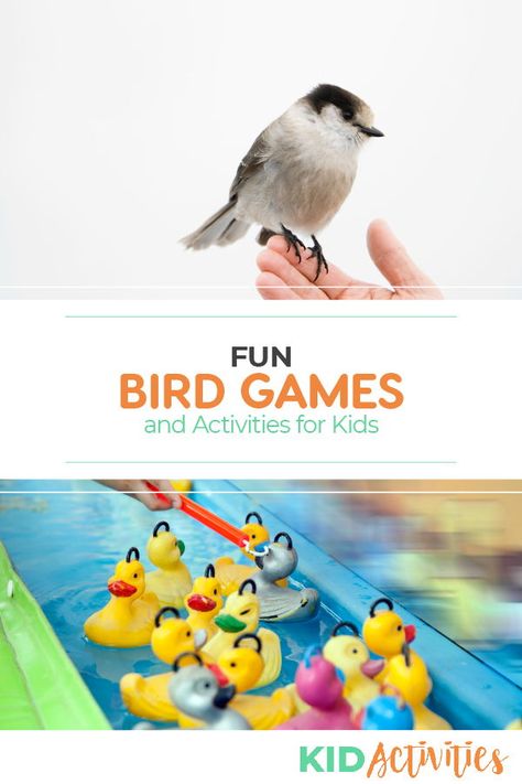 A collection of fun bird themed games and activities. Great for teaching kids about birds in the classroom or at home. #KidActivities #KidGames #ActivitiesForKids #FunForKids #IdeasForKids Bird Themed Activities For Preschoolers, Bird Games Preschool, Bird Stem Activities, Bird Watching Activities For Kids, Bird Science Activities Preschool, Bird Games For Kids, Bird Toddler Activities, Preschool Bird Activities, Bird Birthday Theme