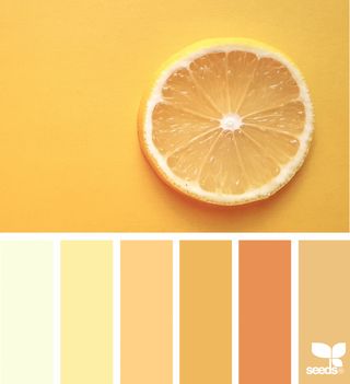 { fresh hues } | image via: @georgina.ambruska The post Fresh Hues appeared first on Design Seeds. Sunny Color Palette, Lemon Palette, Lemon Color Palette, Yellow Colour Palette, Orange Inspiration, Today's Inspiration, Image For, Seeds Color, Color Palette Yellow