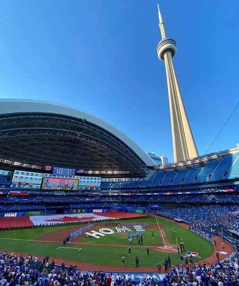 U Of T Toronto, University Of Toronto Aesthetic, Toronto Parks, Bc Place Stadium, Toronto Blue Jays Stadium, Toronto Blue Jays Logo, Toronto Photography, Blue Jays Baseball, Toronto Blue Jays Baseball