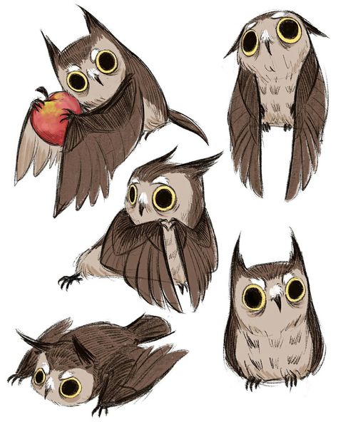 Owl Illustration, Hedge Witch, Owls Drawing, 캐릭터 드로잉, Animal Sketches, Owl Art, Bird Drawings, Creature Concept, Cute Animal Drawings