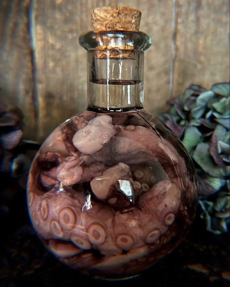 Haunted Attic, Halloween Potion Bottles, Wet Specimen, Growth And Decay, Black Magick, Halloween Potions, Octopus Tentacles, Vulture Culture, Personal Aesthetic