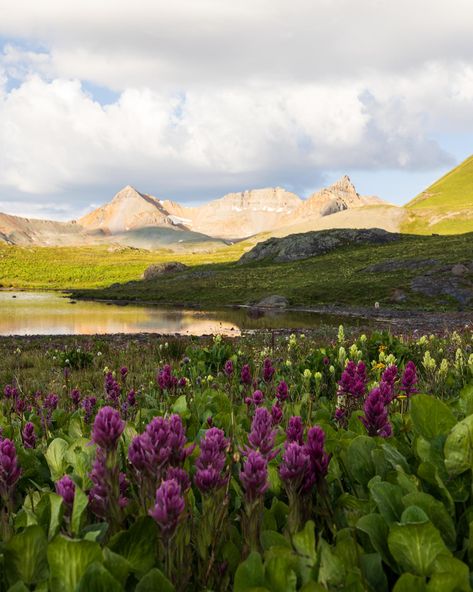 Exploring the breathtaking beauty of San Juan National Forest in Colorado is an adventure like no other! 🌲 Discover hidden gems and majestic views. Click the link to learn more! #NatureLovers #AdventureAwaits Hidden Gems, Adventure Awaits, National Forest, Nature Wallpaper, Colorado, Forest