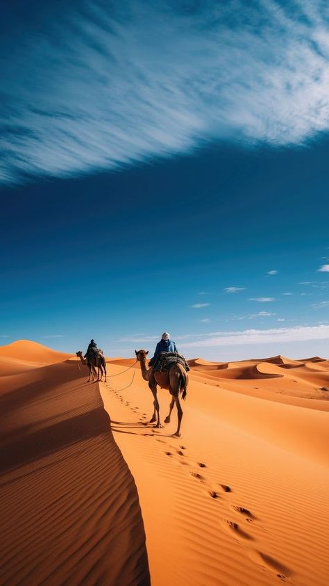 photography of camel in desert landscape . AI generated Image by rawpixel. | premium image by rawpixel.com Desert Wallpaper Iphone, Camel Photography, Camel In Desert, Desert Landscape Photography, Camels Desert, Desert Wallpaper, Blue Desert, Blue Wallpaper Iphone, Desert Landscape