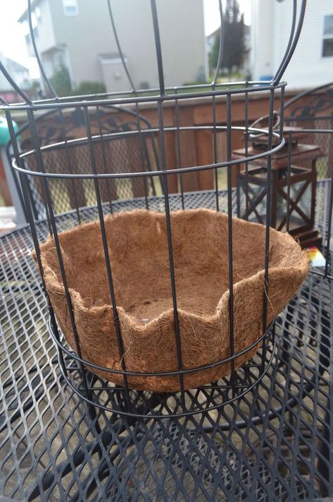 Outdoor Birdcage Ideas, Birdcage In Garden, Birdcage Planter Outdoor, Plants In Birdcage Ideas, Birdcage Planter, Gardening Design Diy, Diy Hanging Planter, Bird Cage Decor, Birdcages