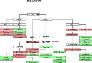 Tree Graph, Language Tree, Language Evolution, Indo European, Structural Model, Map Diagram, Ancient Names, Language Families, Foreign Words