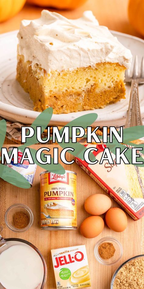 Magic Cake Recipe, Pumpkin Magic Cake, Magic Cake Recipes, Pumpkin Magic, Boxed Cake Mixes Recipes, Pumpkin Cake Recipes, Pumpkin Desserts, Spice Coffee, Pumpkin Recipes Dessert