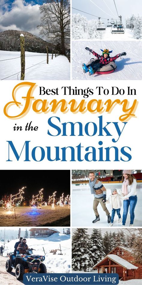 Special Things To Do In The Smoky Mountains In January Tennessee Winter Vacation, Gatlinburg Tennessee Things To Do In Winter, Smokey Mountains Tennessee Fall, Wilderness At The Smokies, Wildlife Week, Smoky Mountain Christmas, Tennessee Road Trip, Mountains Tennessee, Winter Wildlife