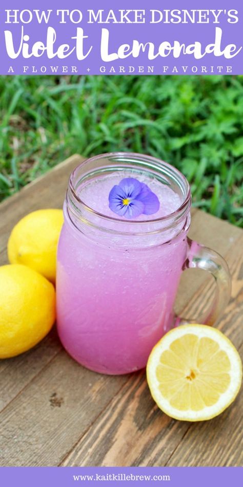 Violet Lemonade | Disney Recipes | Flower and Garden Festival | Disney DIY | Epcot Treats | Disney at Home | Violet Lemonade Recipe | Sugar Free Disney Recipes | How To Make Violet Lemonade | Best of Flower and Garden Festival | Flower and Garden Festival Favorites | That Disney Lifestyle | Kait Around The Kingdom | @kaitkillebrew Violet Lemonade, Disney At Home, Disney Inspired Recipes, Disney Dishes, Disney Inspired Food, Disney Drinks, Monte Cristo Sandwich, Disney Recipes, Disney Lifestyle