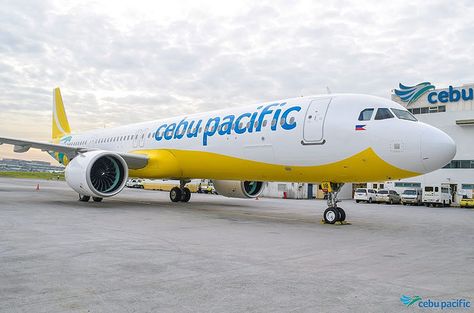 Cebu Pacific celebrates flying nearly 200,000 passengers between Dubai and Manila Cebu Pacific Airlines, Airplane Pics, Cebu Pacific, Tokyo Vacation, Tokyo Tour, Travel Fund, Japan Destinations, Air Asia, Japan Vacation