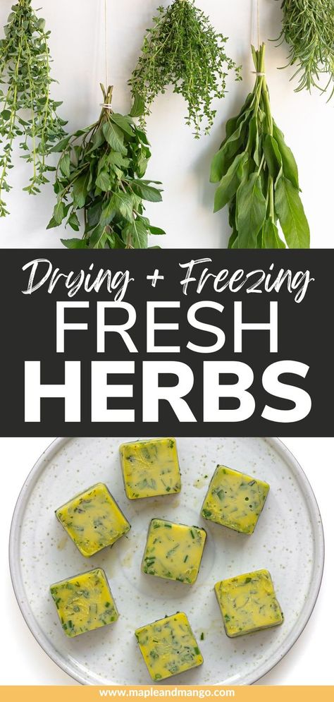 Say goodbye to wasted herbs! Learn how easy it is to preserve fresh herbs by freezing or drying them to enjoy later in all your favorite recipes. Includes step-by-step photo instructions on how to freeze fresh herbs into frozen herb cubes and how to dry fresh herbs. | www.mapleandmango.com Herb Cubes, Freeze Fresh Herbs, Dry Fresh Herbs, Freezing Fresh Herbs, Preserve Fresh Herbs, Drying Fresh Herbs, Freezing Herbs, Preserving Herbs, Baby Food Storage