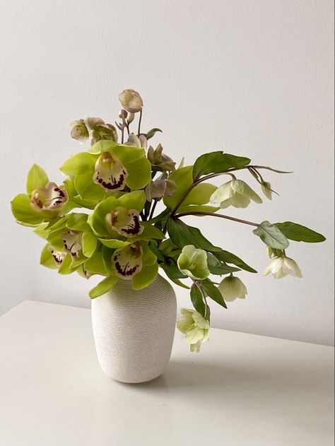 Cymbidium orchids and hellebores in North Palm petite vase Cymbidium Orchids Arrangement, Orchid Bud Vase, Palm Arrangements, Minimalist Flower Arrangement, Season Images, Minimalist Vase, Minimalist Flower, Orchid Arrangements, Cymbidium Orchids