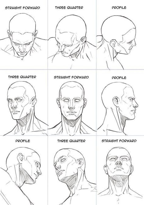 Male Face Drawing, Drawing The Human Head, Neck Drawing, Head Anatomy, Face Anatomy, 얼굴 드로잉, Anatomy Tutorial, Pose Model, 얼굴 그리기