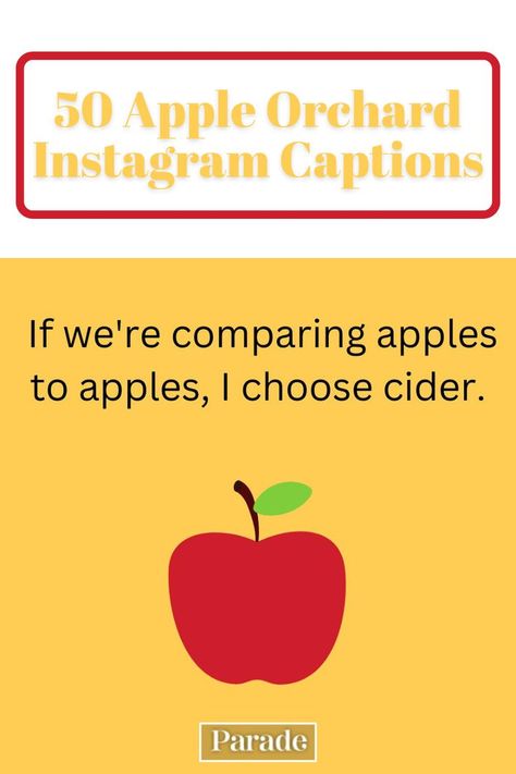 50 Apple Orchard Instagram Captions for Your Next Family Trip #appleorchard #apples #instagramcaptions #applecaptions #fallcaptions https://parade.com/living/apple-orchard-instagram-captions Apple Cider Quotes, Apple Orchard Captions For Instagram, Apple Orchard Instagram Captions, Apple Picking Quotes Instagram, Apple Picking Captions For Instagram, Apple Picking Quotes, Apple Picking Caption, Apple Orchard Pictures, Caption Inspiration