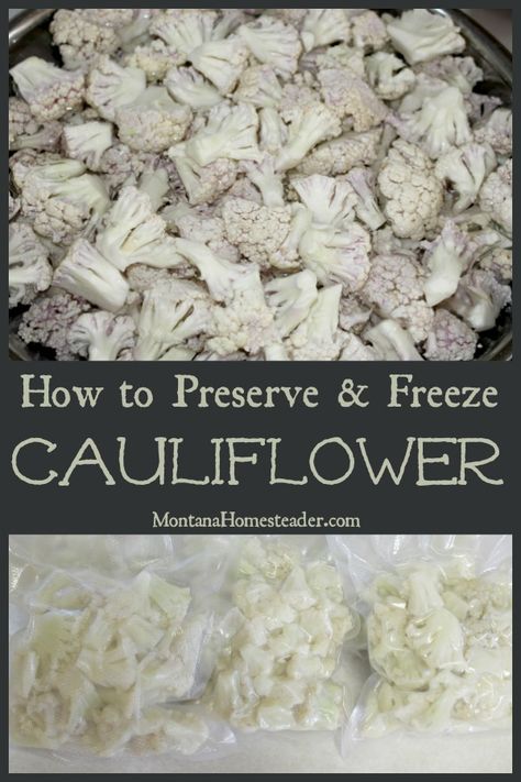 Have an abundance of cauliflower? Here's how we preserve and freeze cauliflower to eat year round in our favorite recipes! | Montana Homesteader How To Preserve Cauliflower, Preserve Cauliflower, Freezing Broccoli, Freezing Cauliflower, Freeze Cauliflower, Freeze Veggies, Rose Hip Jelly, Freezing Veggies, Freezer Ideas