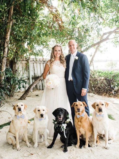 Dog Wedding Photos, Beach Wedding Groom, Dog Wedding Attire, Florida Keys Wedding, Photos With Dog, Florida Beach Wedding, Beautiful Beach Wedding, Keys Wedding, Beach Wedding Photos