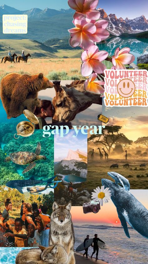 vision board for my gap year 2024/2025 Gap Year Aesthetic, Year Aesthetic, Making Dreams Come True, Gap Year, Year 2024, Dreams Come True, Travel Inspo, Dream Life, Vision Board